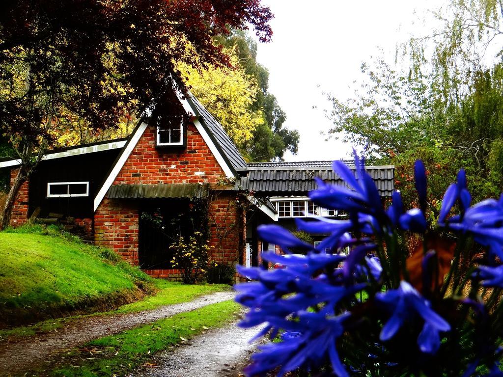 Waitati Arden Country House المظهر الخارجي الصورة